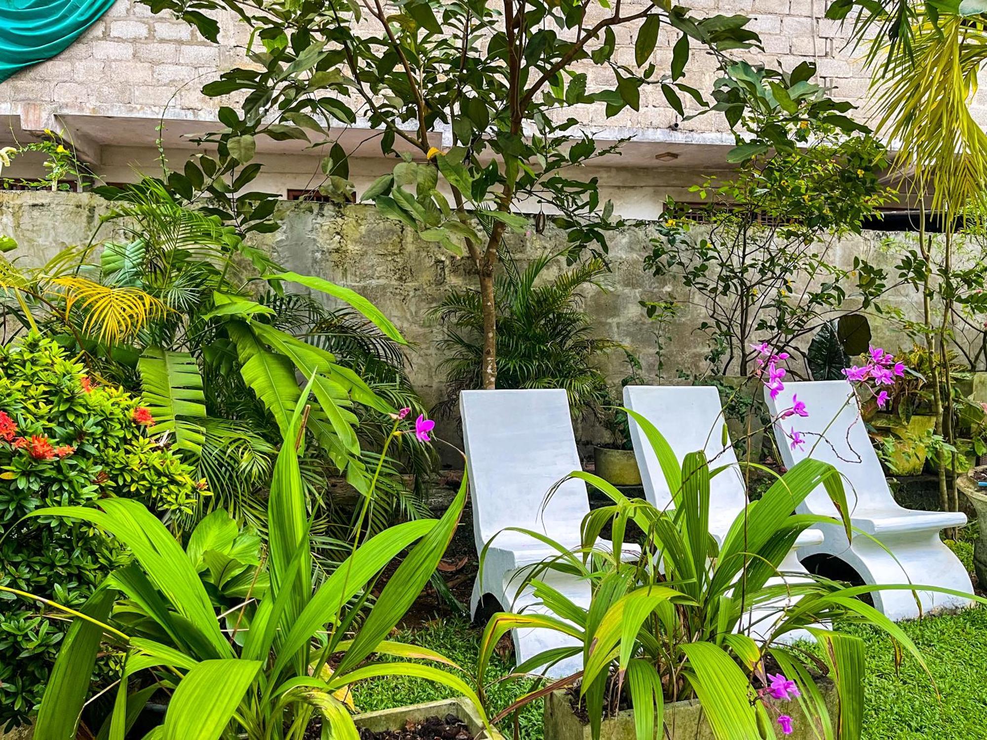 Galle Camellia Zewnętrze zdjęcie